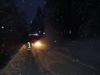 31.12.2011 - Umgestürzte Bäume