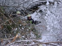 07.01.2012 - Baum auf Wohnhaus