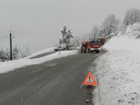 07.-08.01.2012 - Umgestürzte Bäume