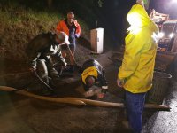 31.08.2019 - Unwetter mit Starkregen