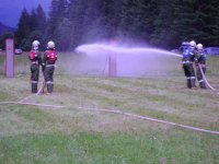29.07.2011 - Bezirksnassbewerb