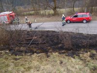 12.03.2011  - Böschungsbrand, L244 