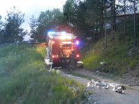 21.05.2013 - Gruppenprobe Neuner