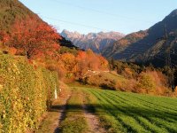 Impressionen
