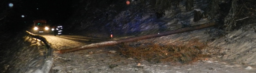 27.03.2013 – Umgestürzte Bäume